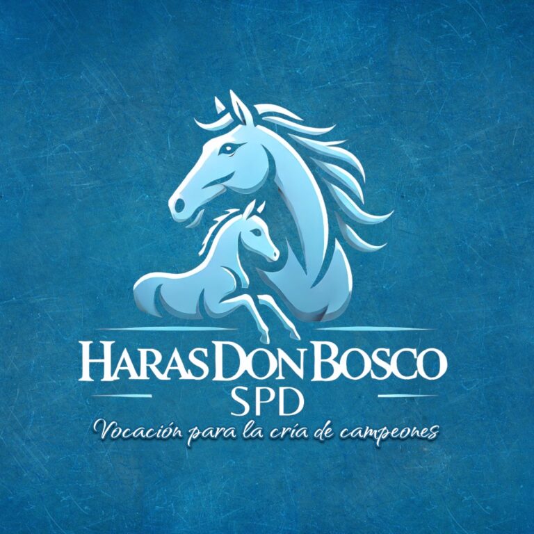 Photoroom_20241001_211706