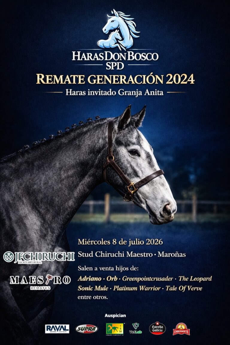 REMATE CRITÉRIUM 2026