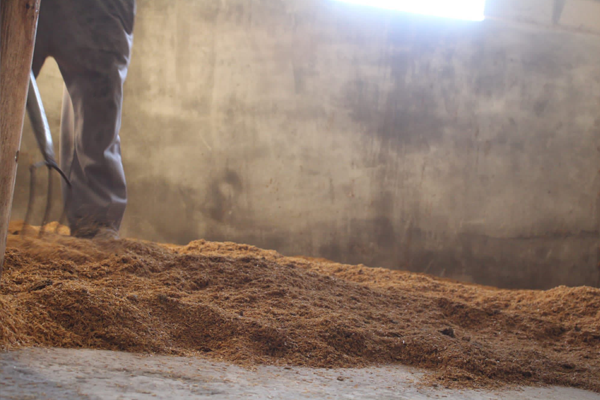 Pensionado_DonBosco2